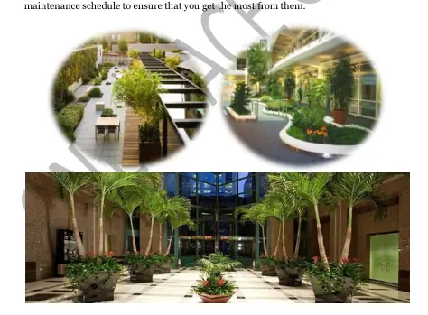 Interior landscaping UAE