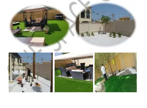 Professional garden landscaping and maintenance in UAE